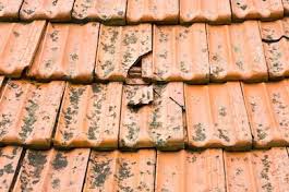 Cracked roof tiles