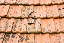 Photo of a cracked roof tile